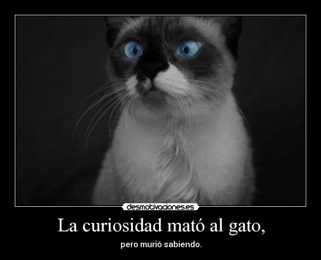 La curiosidad mató al gato, - pero murió sabiendo.