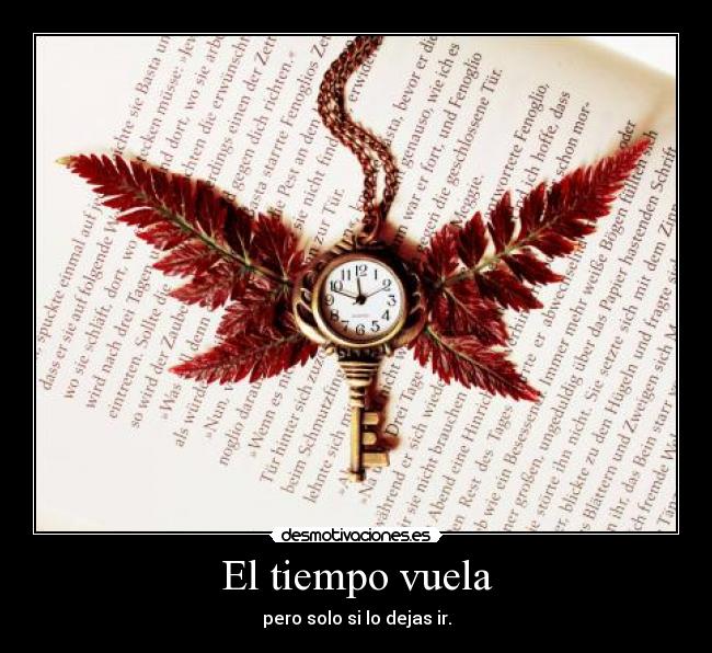 carteles valora cada momento vida porque repite desmotivaciones