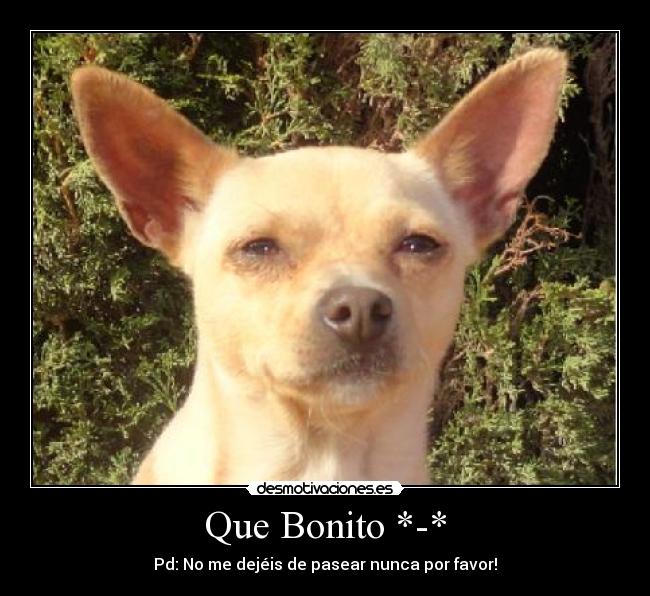 carteles amo000r desmotivaciones