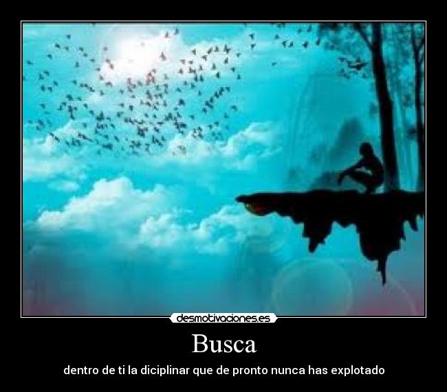 Busca - 