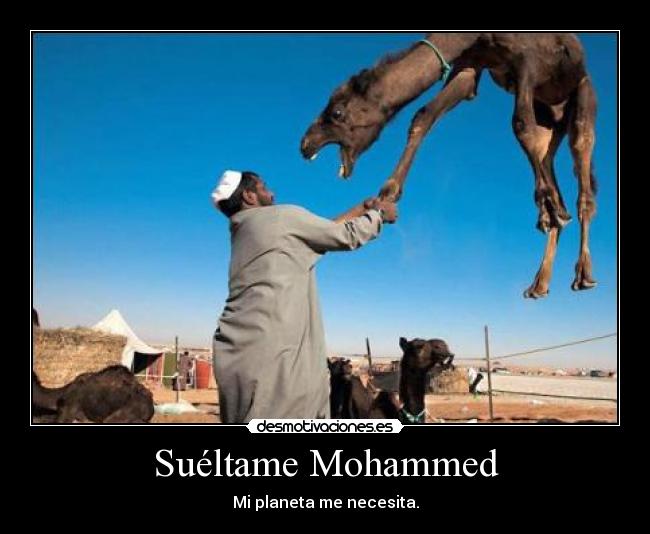 Suéltame Mohammed - 