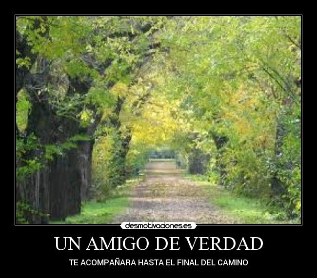 UN AMIGO DE VERDAD - TE ACOMPAÑARA HASTA EL FINAL DEL CAMINO