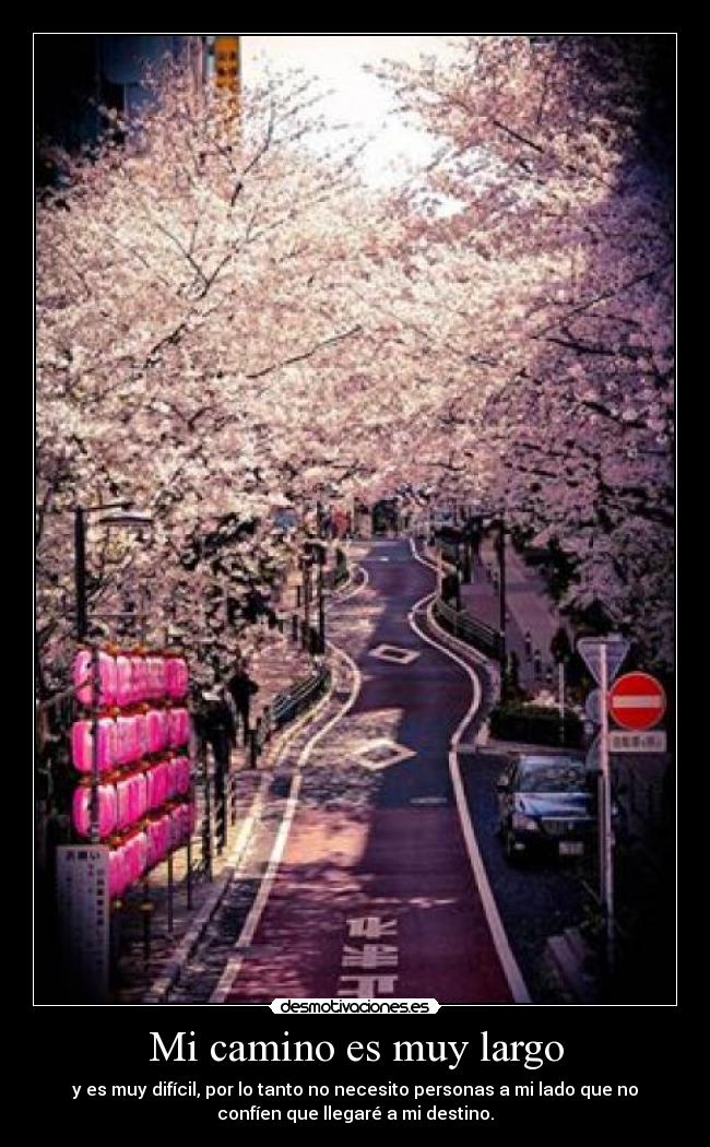Mi camino es muy largo - y es muy difícil, por lo tanto no necesito personas a mi lado que no
confíen que llegaré a mi destino.