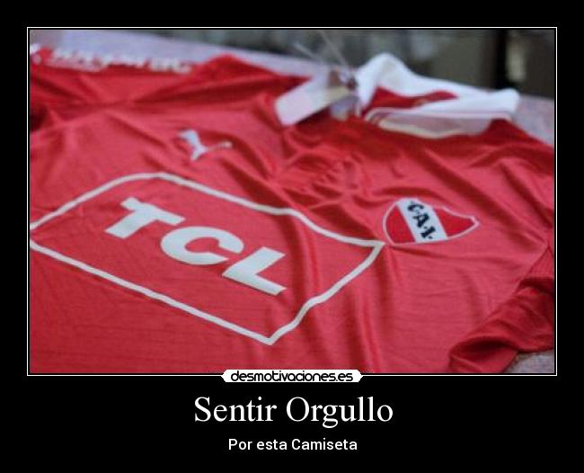 carteles independientes desmotivaciones