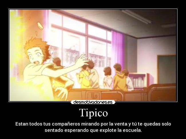 Tipico - 