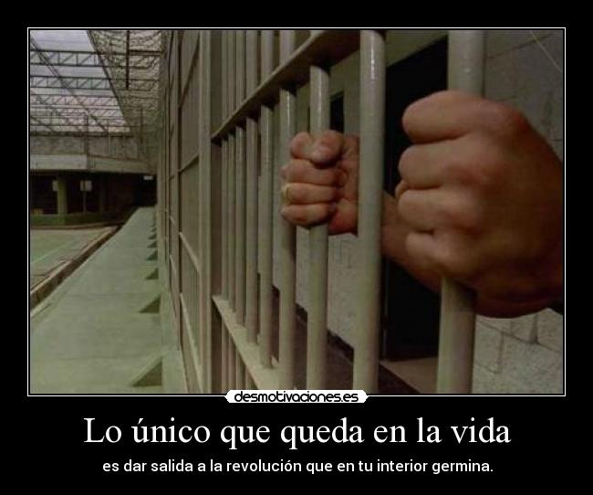 Lo único que queda en la vida - es dar salida a la revolución que en tu interior germina.