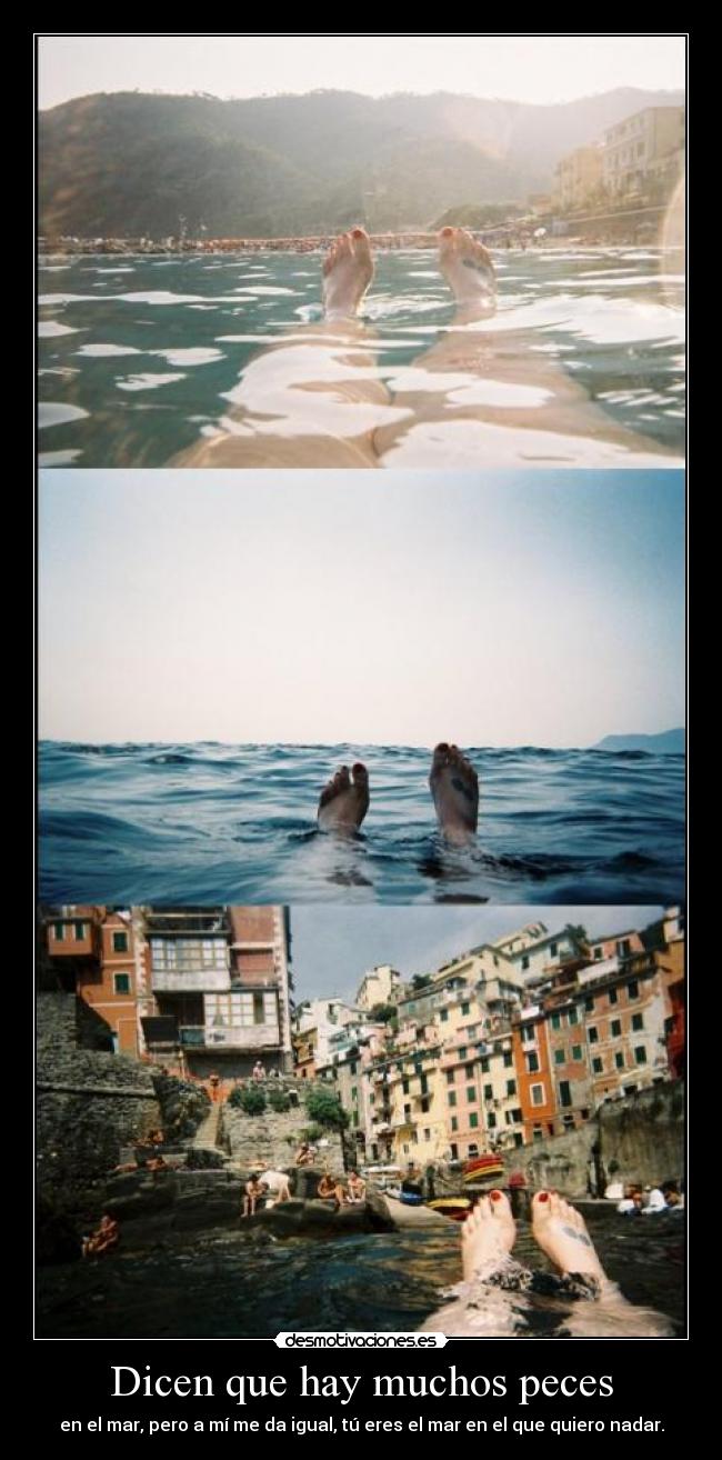 carteles locus coldblood mazo fetiche las fotos pues cartel 299 desmotivaciones