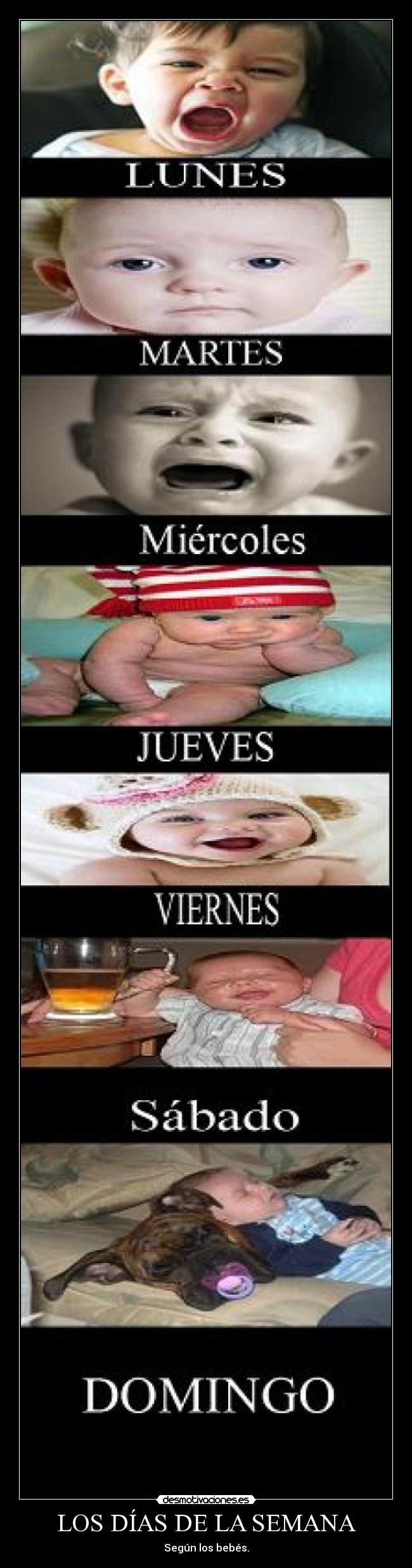 LOS DÍAS DE LA SEMANA -