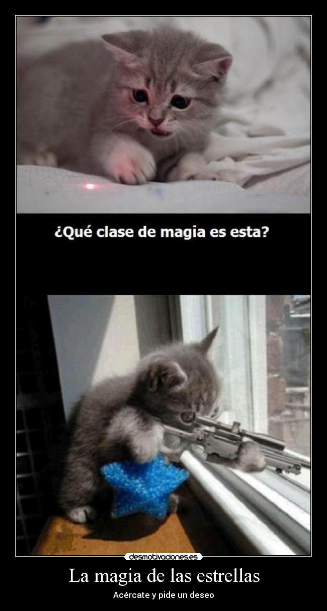 La magia de las estrellas - 