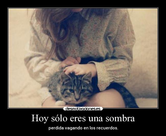 Hoy sólo eres una sombra - perdida vagando en los recuerdos.