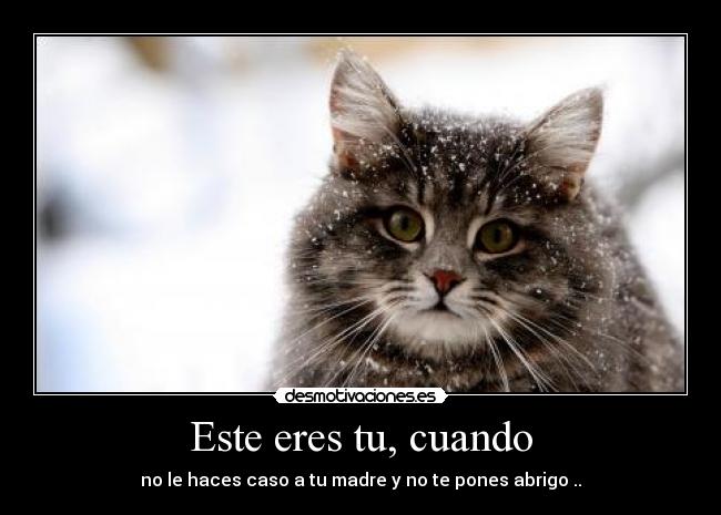 Este eres tu, cuando - no le haces caso a tu madre y no te pones abrigo ..