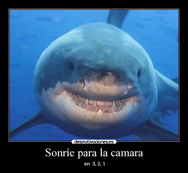 carteles sonrie desmotivaciones