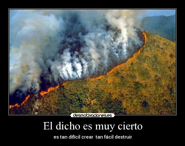 El dicho es muy cierto -