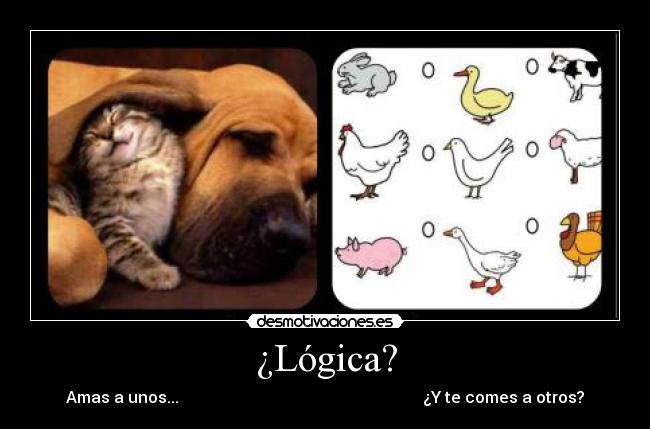 ¿Lógica? - Amas a unos...                                                             ¿Y te comes a otros?