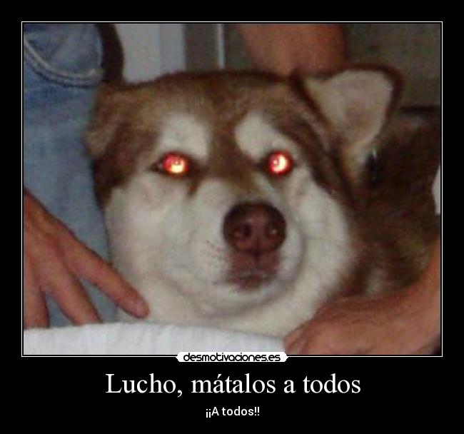 Lucho, mátalos a todos -