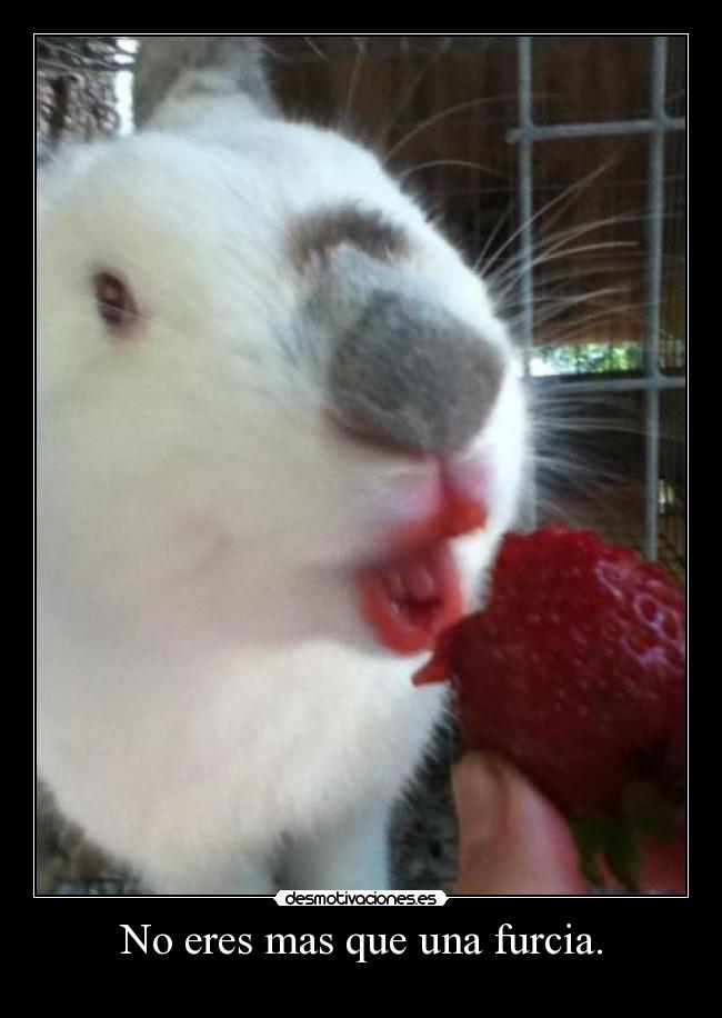 No eres mas que una furcia. - 