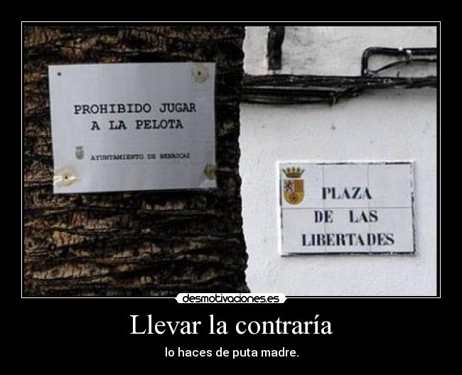 Llevar la contraría - lo haces de puta madre.