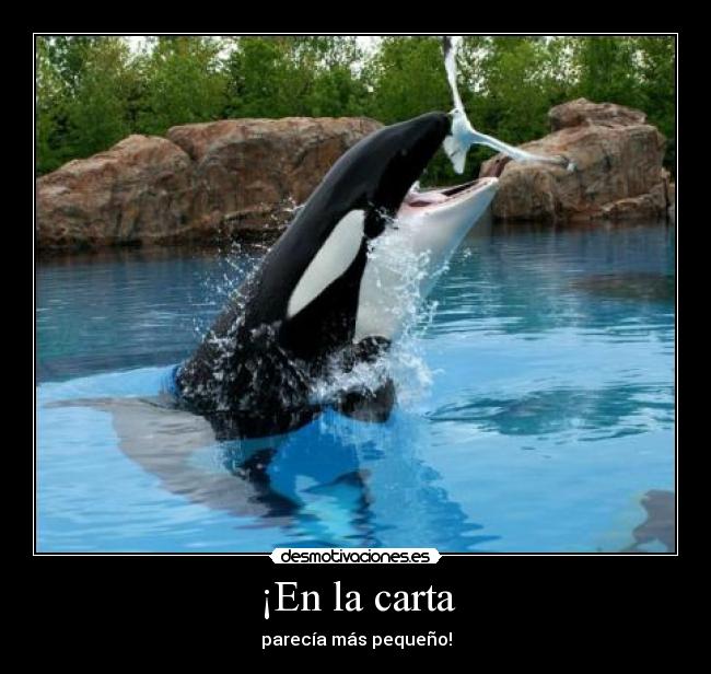 carteles carta del restaurante gilipollas desmofunny desmotivaciones