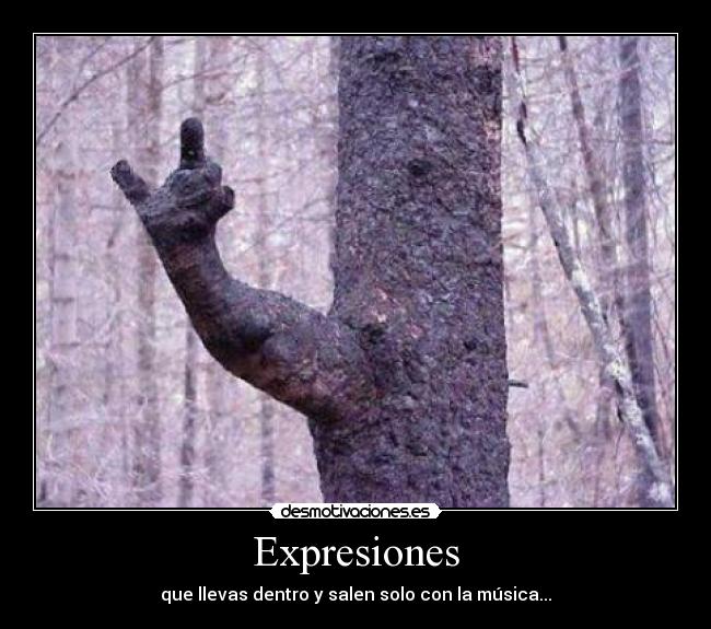 Expresiones - que llevas dentro y salen solo con la música...