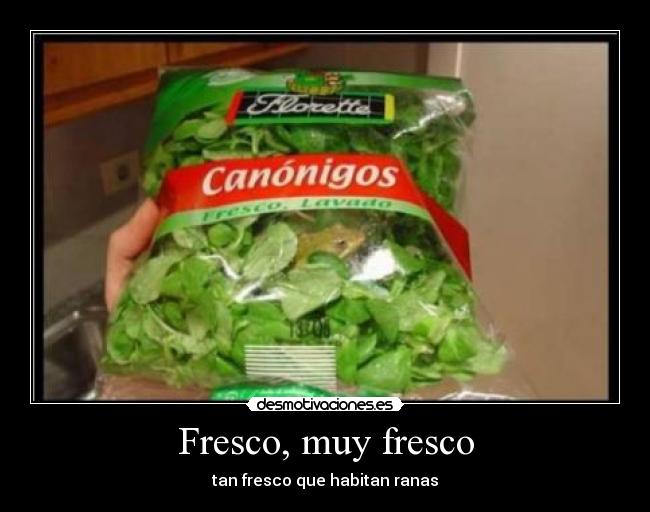 carteles lol desmotivaciones