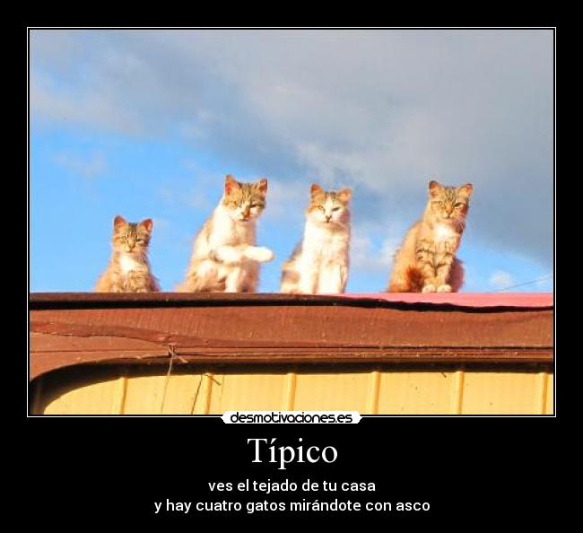 Típico -