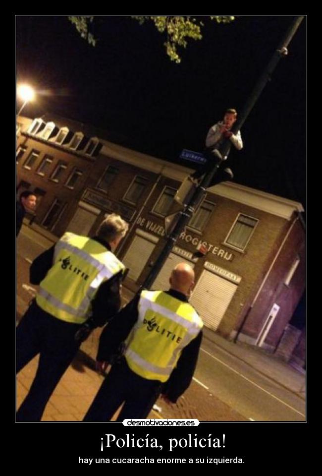 ¡Policía, policía! - hay una cucaracha enorme a su izquierda.