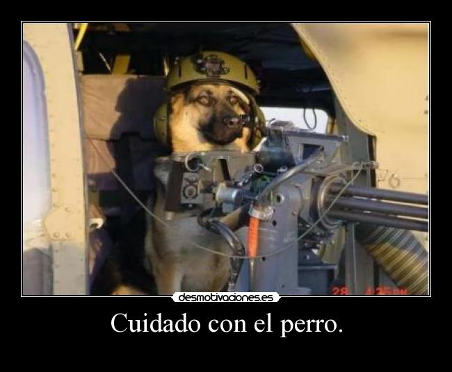Cuidado con el perro. -