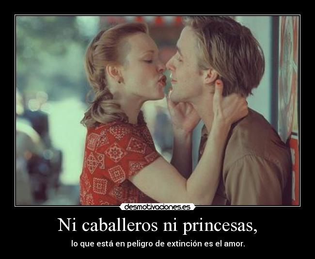 carteles onlyyourprincess desmotivaciones