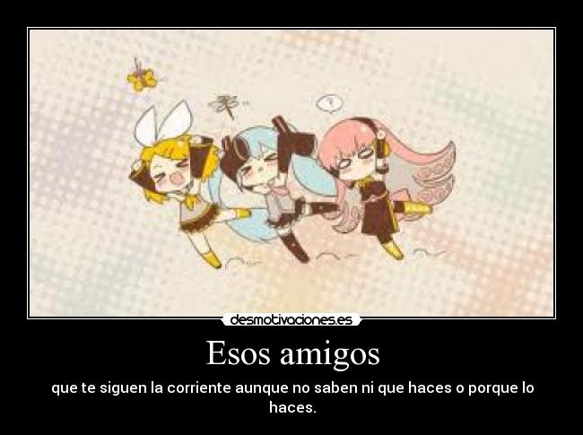 Esos amigos - que te siguen la corriente aunque no saben ni que haces o porque lo haces.