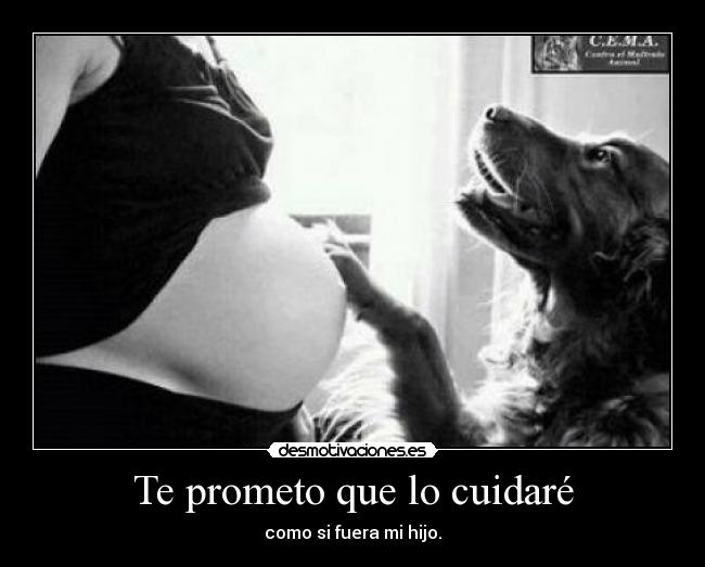 Te prometo que lo cuidaré -