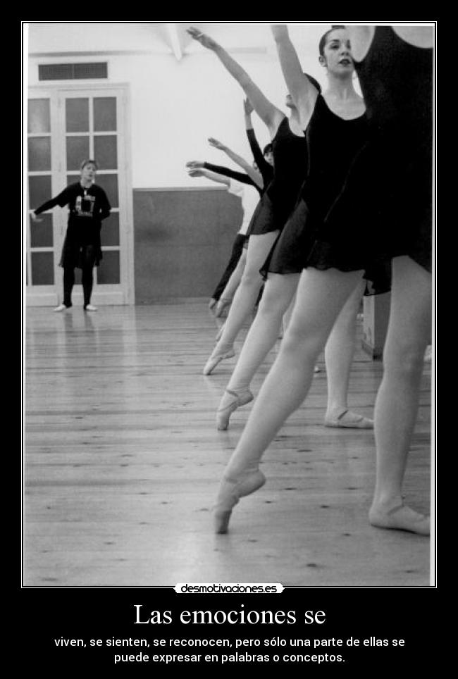 Las emociones se - viven, se sienten, se reconocen, pero sólo una parte de ellas se
puede expresar en palabras o conceptos.