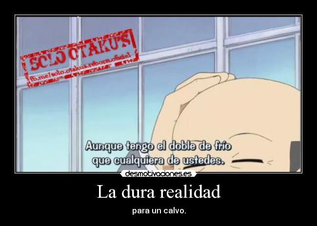 La dura realidad -