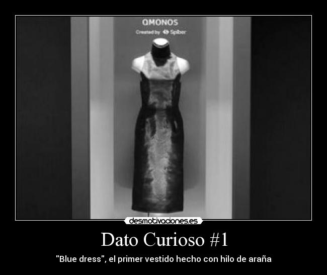 Dato Curioso #1 -