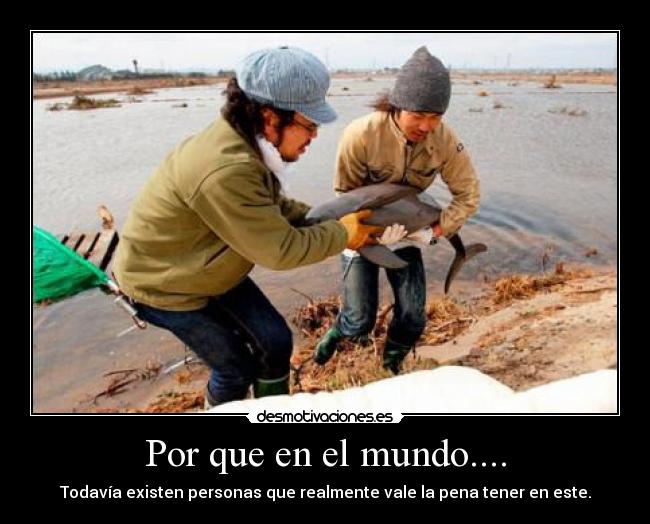 Por que en el mundo.... -