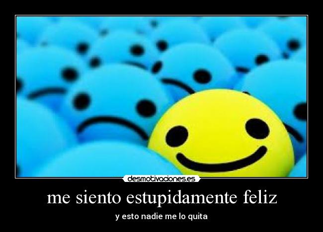 me siento estupidamente feliz - 