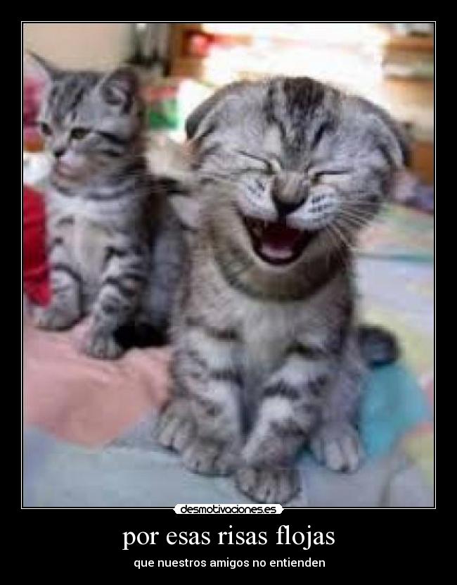 por esas risas flojas -