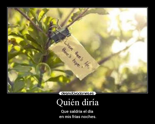 Quién diría - Que saldría el día 
en mis frías noches.