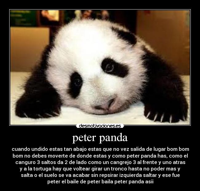 peter panda -