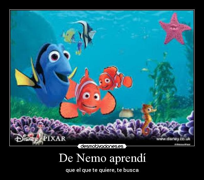 De Nemo aprendí - que el que te quiere, te busca