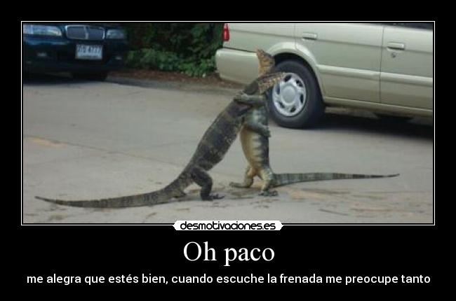 Oh paco - me alegra que estés bien, cuando escuche la frenada me preocupe tanto