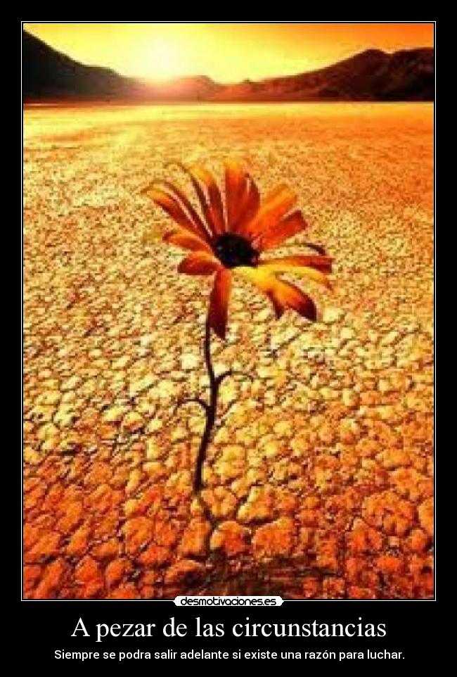 A pezar de las circunstancias - Siempre se podra salir adelante si existe una razón para luchar.
