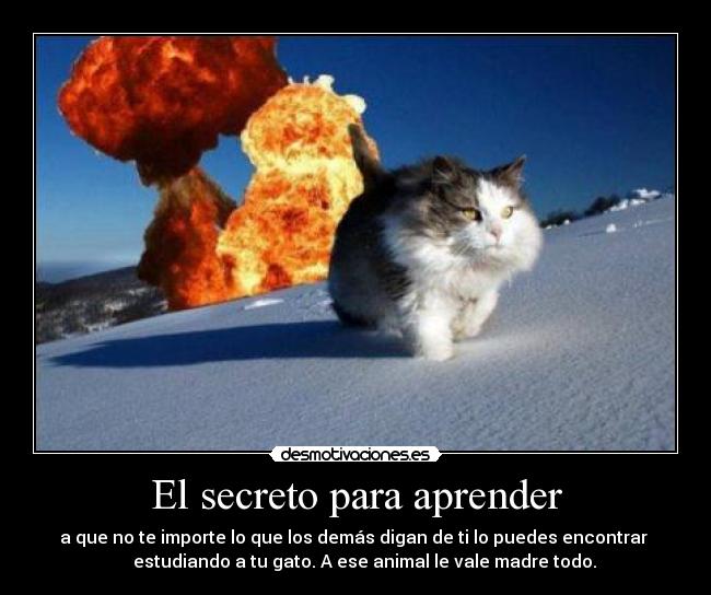 El secreto para aprender -
