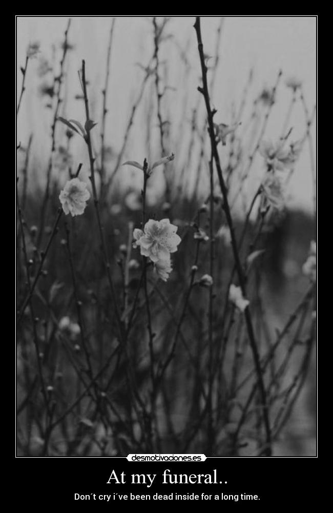 carteles alonealonealoneforeveralone desmotivaciones