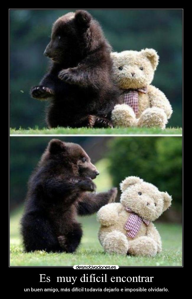 Es  muy difícil encontrar - un buen amigo, más difícil todavía dejarlo e imposible olvidarlo.