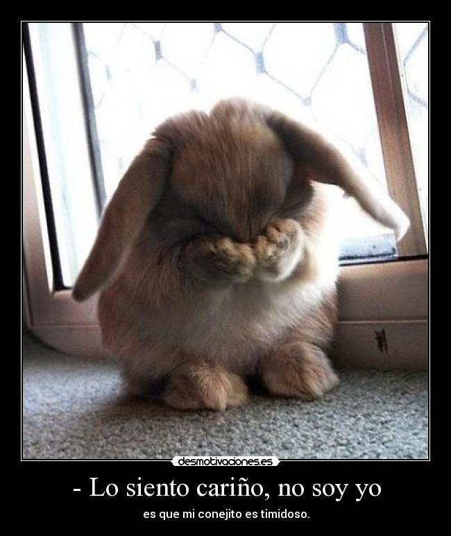 - Lo siento cariño, no soy yo - es que mi conejito es timidoso.