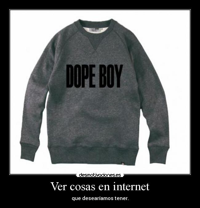 Ver cosas en internet - que desearíamos tener.