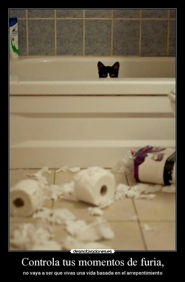 Controla tus momentos de furia, - 