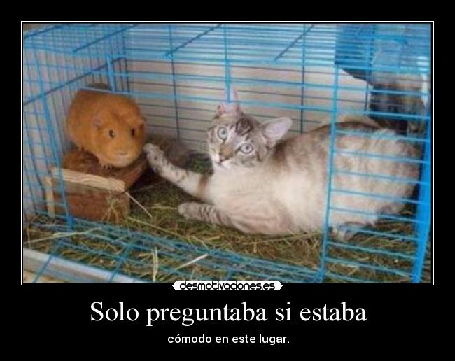 carteles carinitos desmotivaciones