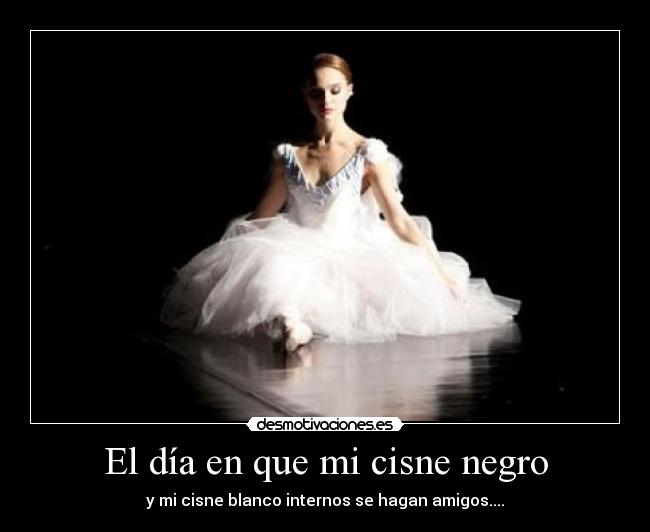 El día en que mi cisne negro - y mi cisne blanco internos se hagan amigos....