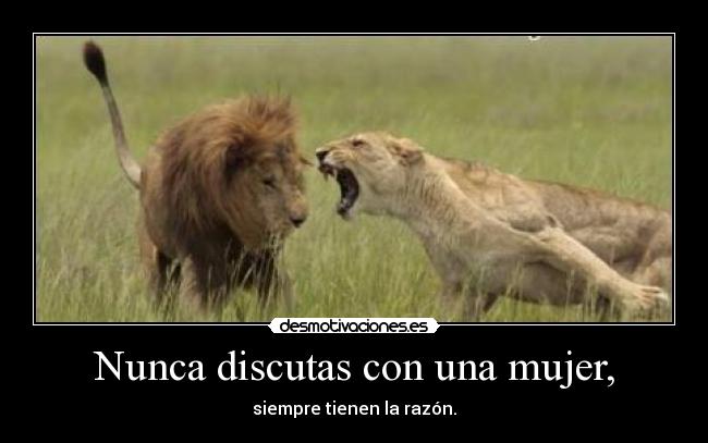 Nunca discutas con una mujer, -